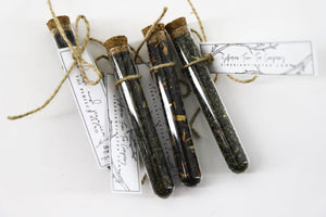 Party Favors